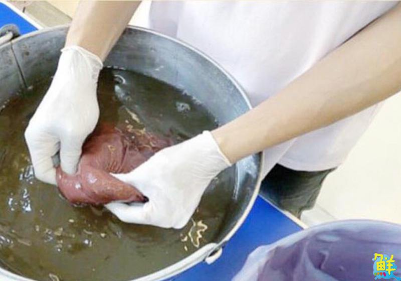 老店新藝 文青風二搖愛玉 你嚐過了嗎?