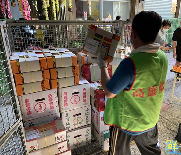 大樹玉荷包荔枝產季倒數最後一週 農業局揪上網預訂把握嘗鮮機會