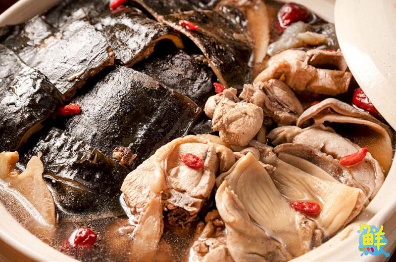 養生食補不該只有在冬天!亞洲鱉大王 滋補養顏母親節首選