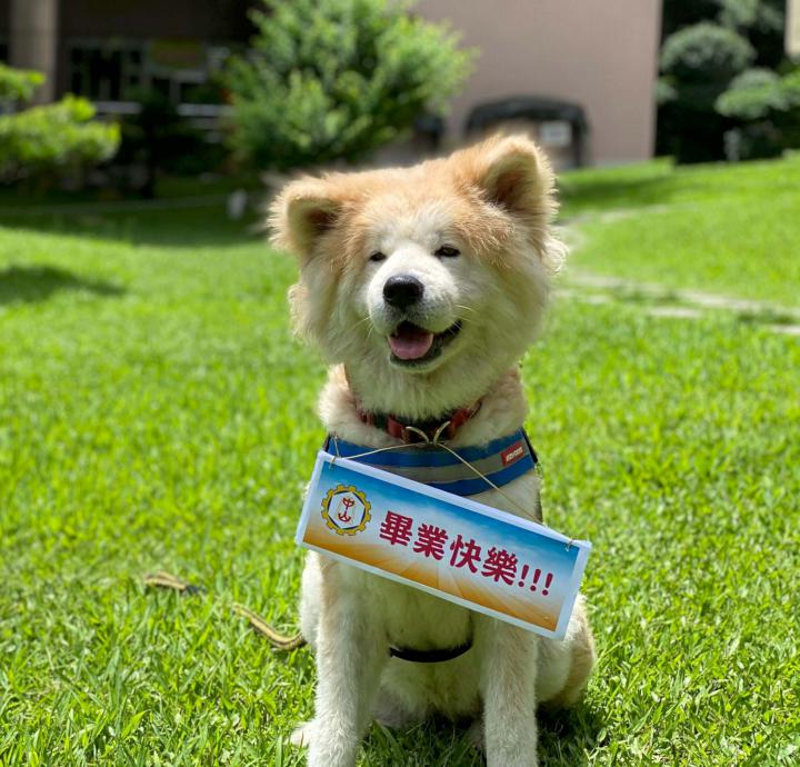 中山工商分流連辦5場線上畢典 校犬女王Ruby入鏡療癒人心