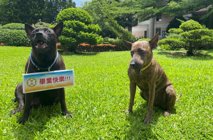 中山工商分流連辦5場線上畢典 校犬女王Ruby入鏡療癒人心