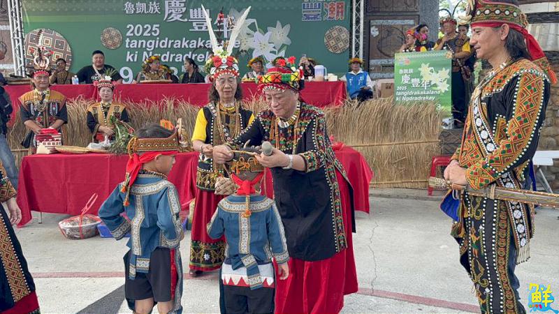 TAKAO豐潮魯凱文化節登場 男丁禮與百合花舞展現魯凱族魅力