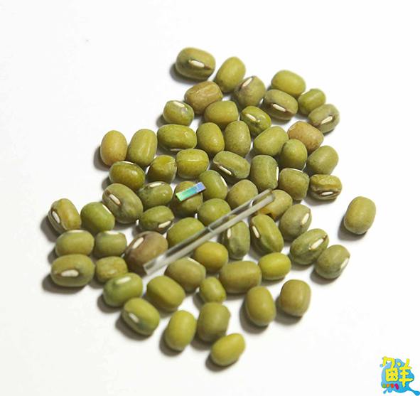 中山大學光電系產學研發光纖陀螺儀驅動晶片全球首見微型如綠豆具量產潛力