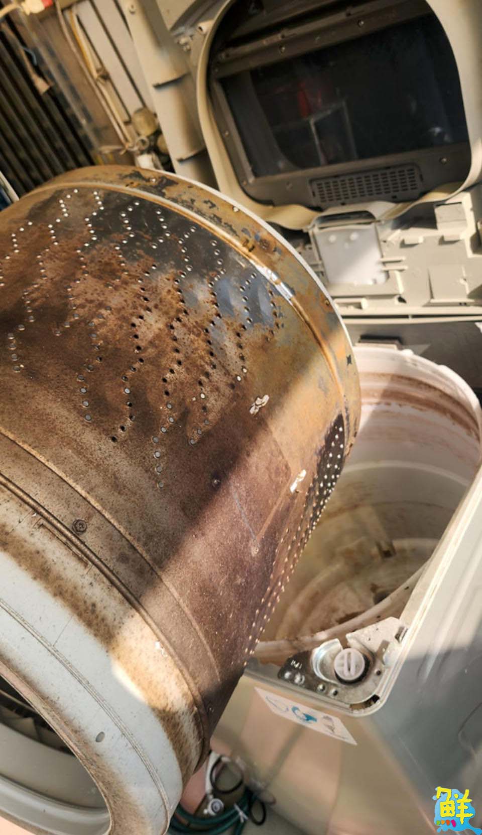 迎新年幫冷氣洗個澡吧! 交給B象限最專業 現場拆洗眼見為憑