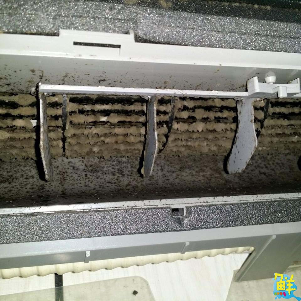 迎新年幫冷氣洗個澡吧! 交給B象限最專業 現場拆洗眼見為憑