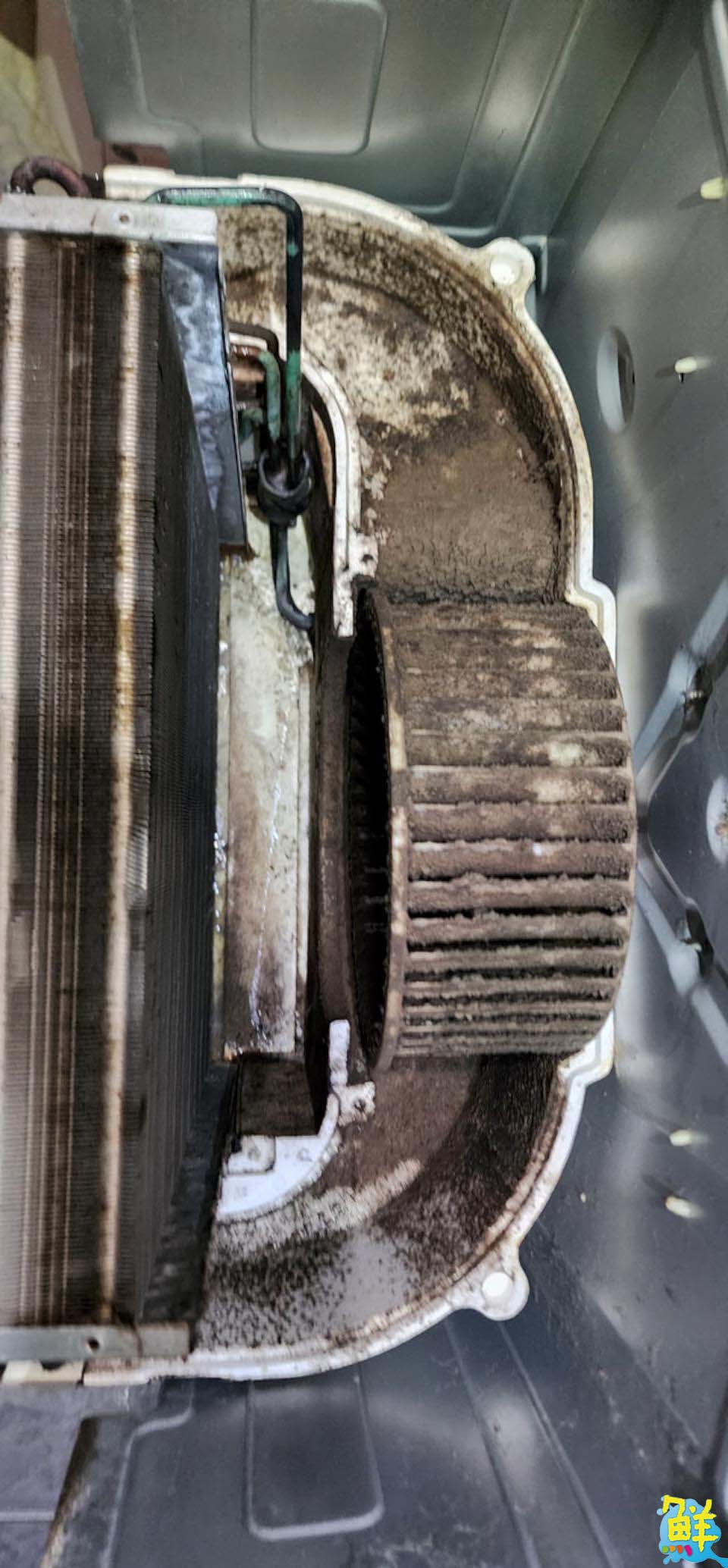 迎新年幫冷氣洗個澡吧! 交給B象限最專業 現場拆洗眼見為憑