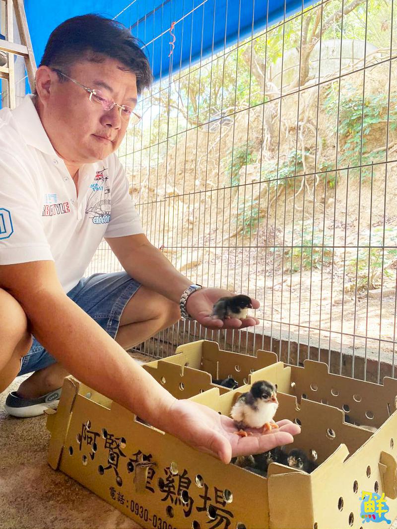 雞界LV底加!優多雞肉舖 全台唯一黑錦雞專賣 職人品質安心有保障