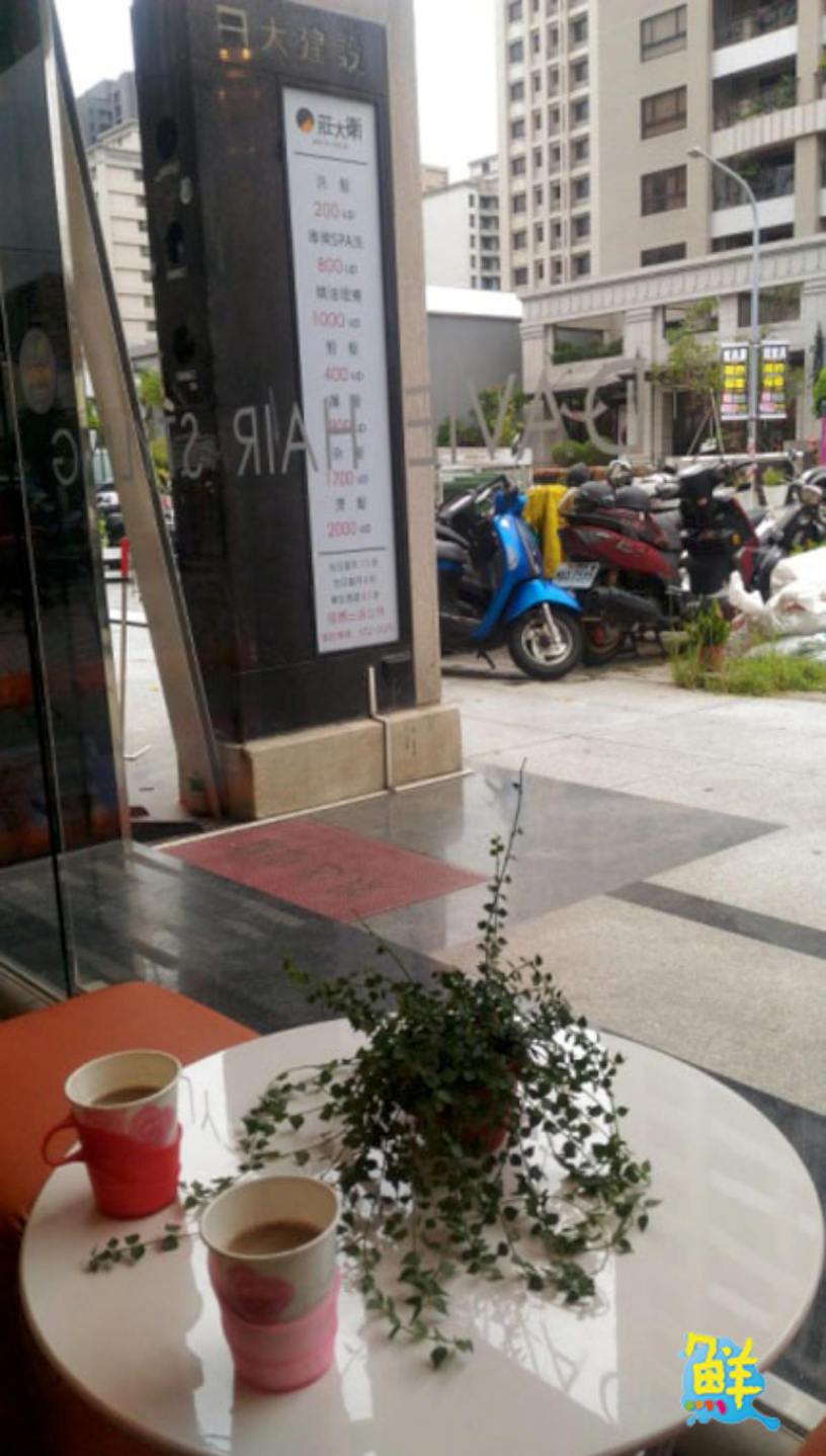 堅持完美 近乎苛求 【莊大衛美髮概念沙龍-青海店】 打造最美時尚獻禮