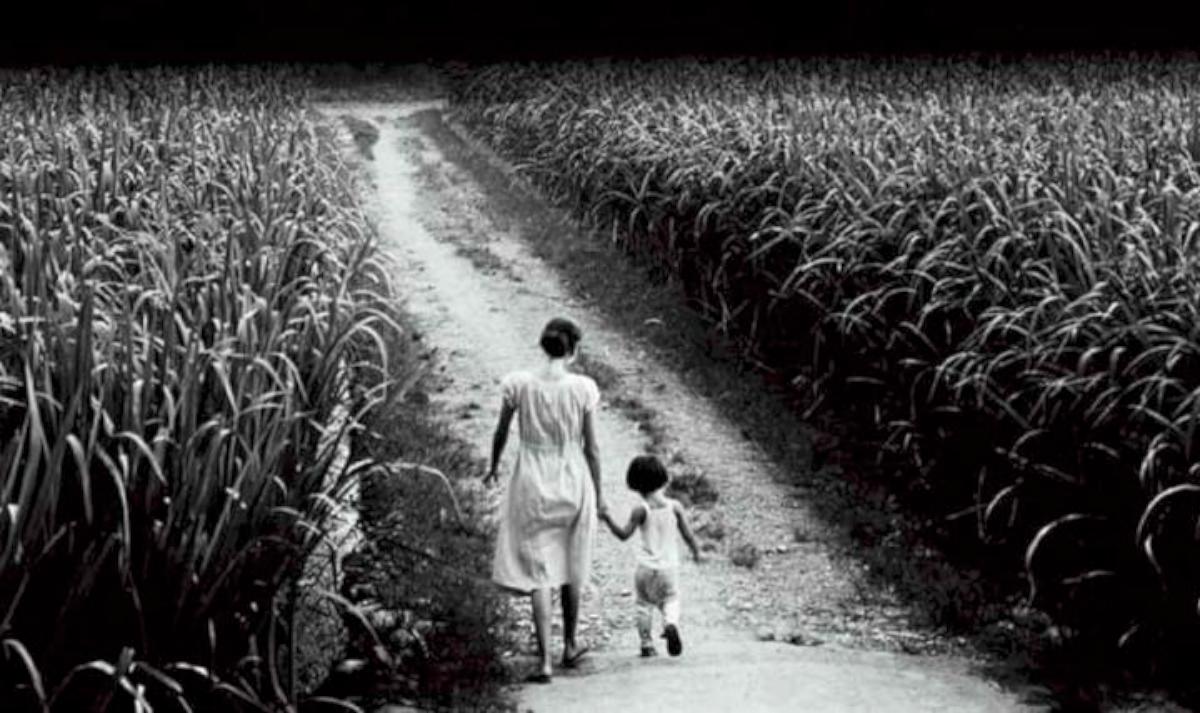 阮義忠《光與凝視:失落的優雅》 攝影個展相約高市金馬賓館