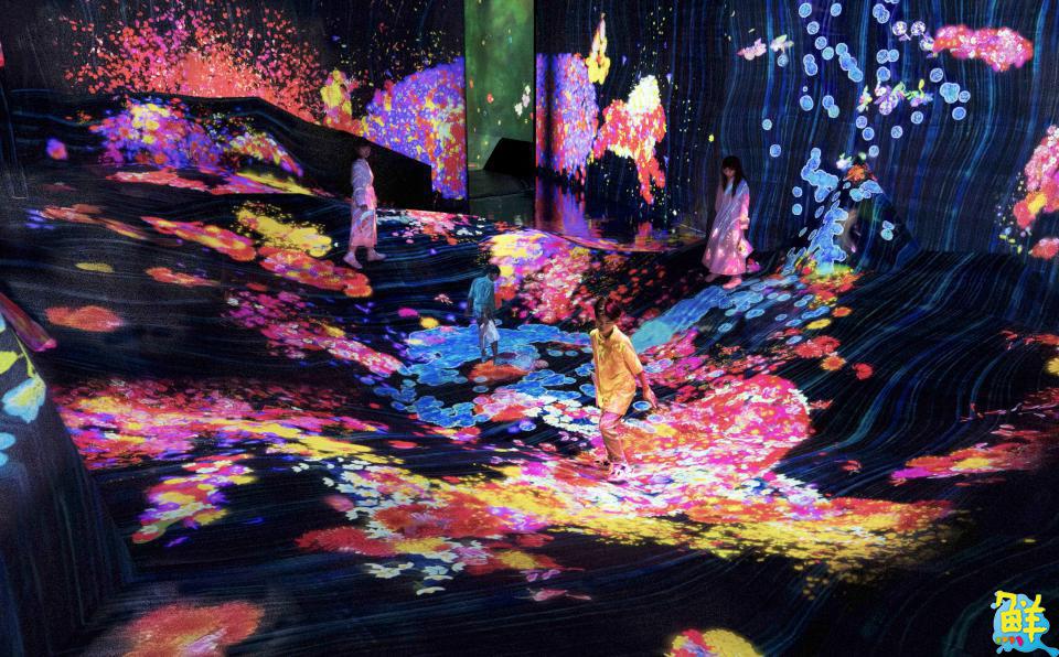 今年必訪!「teamLab共創!未來園 高雄」9月迎來秋季限定場景