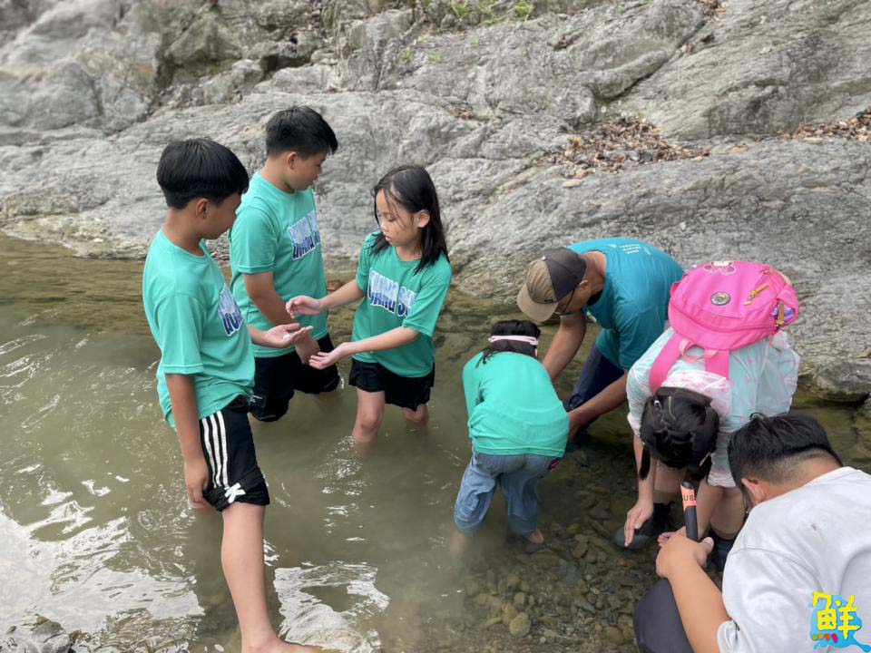 黃蝶三十・立 第25屆美濃黃蝶祭 邀大眾一起守護自然