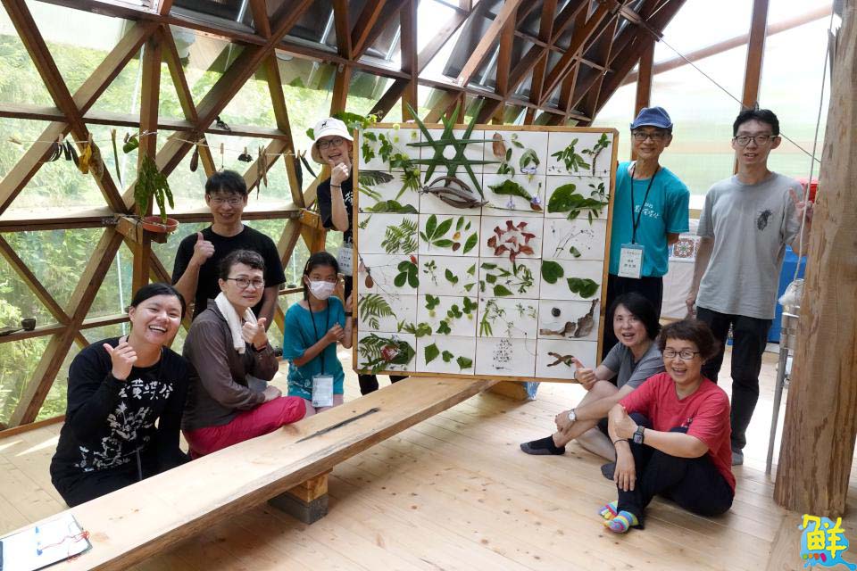 黃蝶三十・立 第25屆美濃黃蝶祭 邀大眾一起守護自然