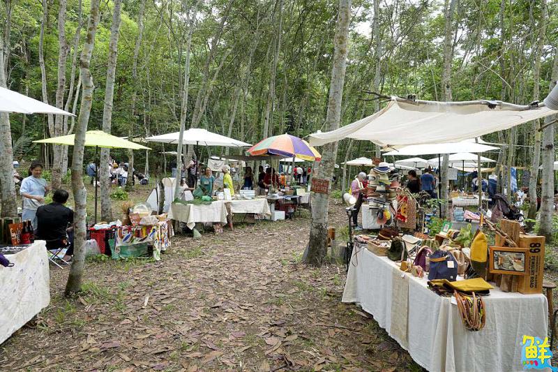 黃蝶三十・立 第25屆美濃黃蝶祭 邀大眾一起守護自然