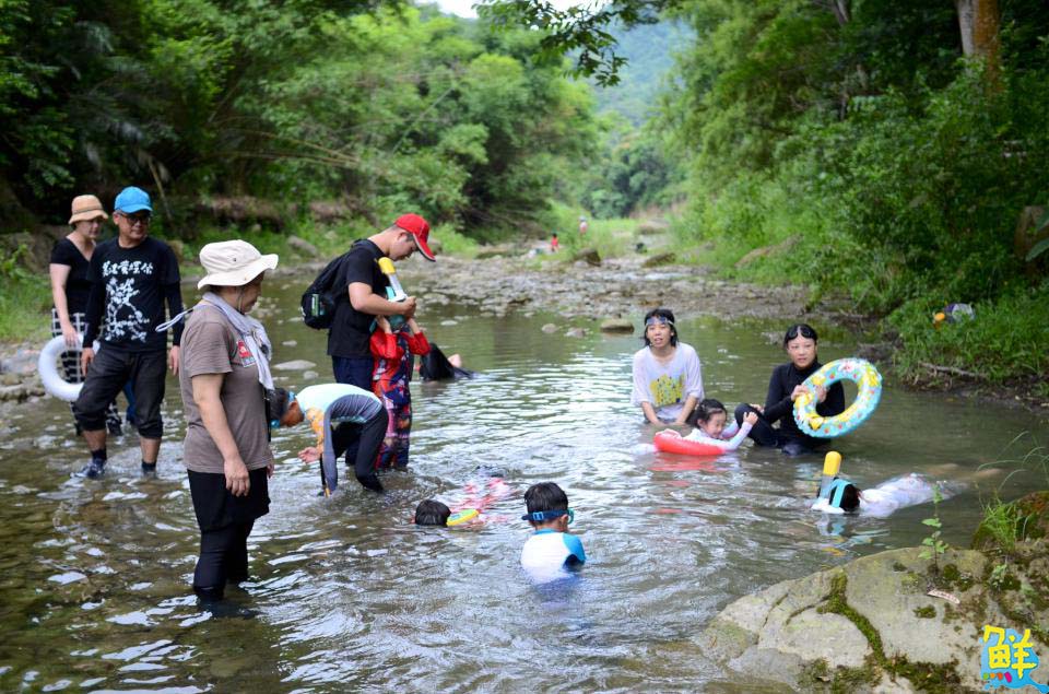 黃蝶三十・立 第25屆美濃黃蝶祭 邀大眾一起守護自然