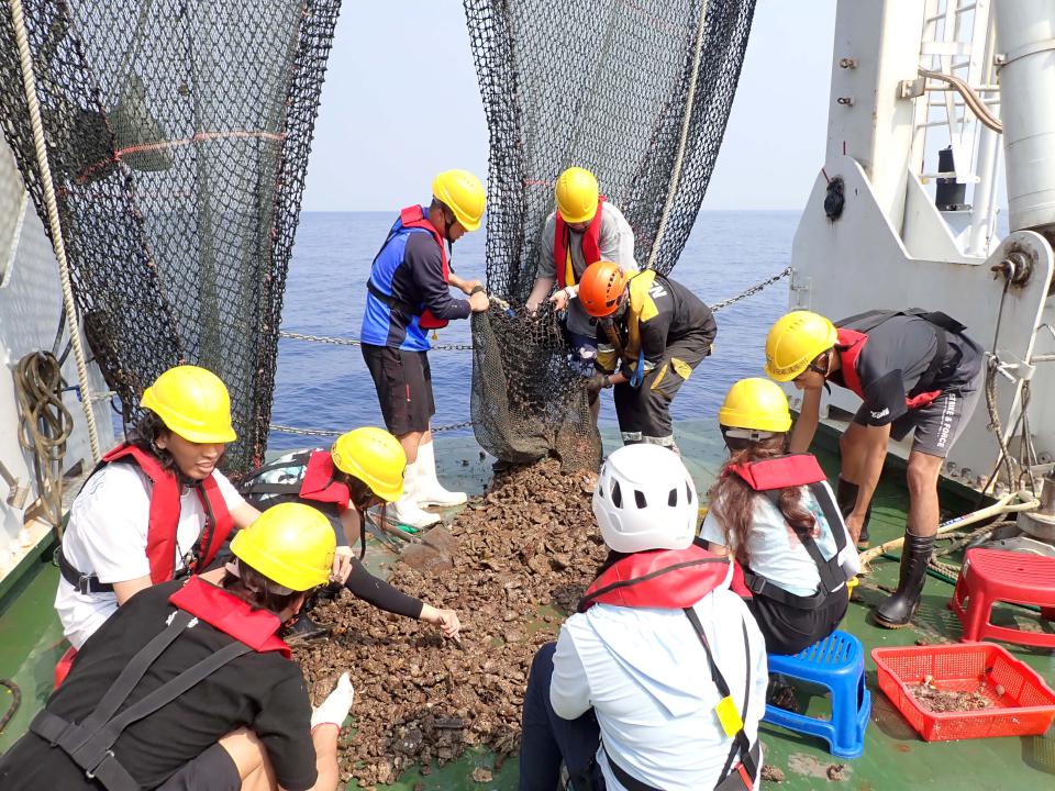 中山大學海保所林裕䕒跨國研究團隊研究石首魚暖化高敏感 結果榮登國際期刊