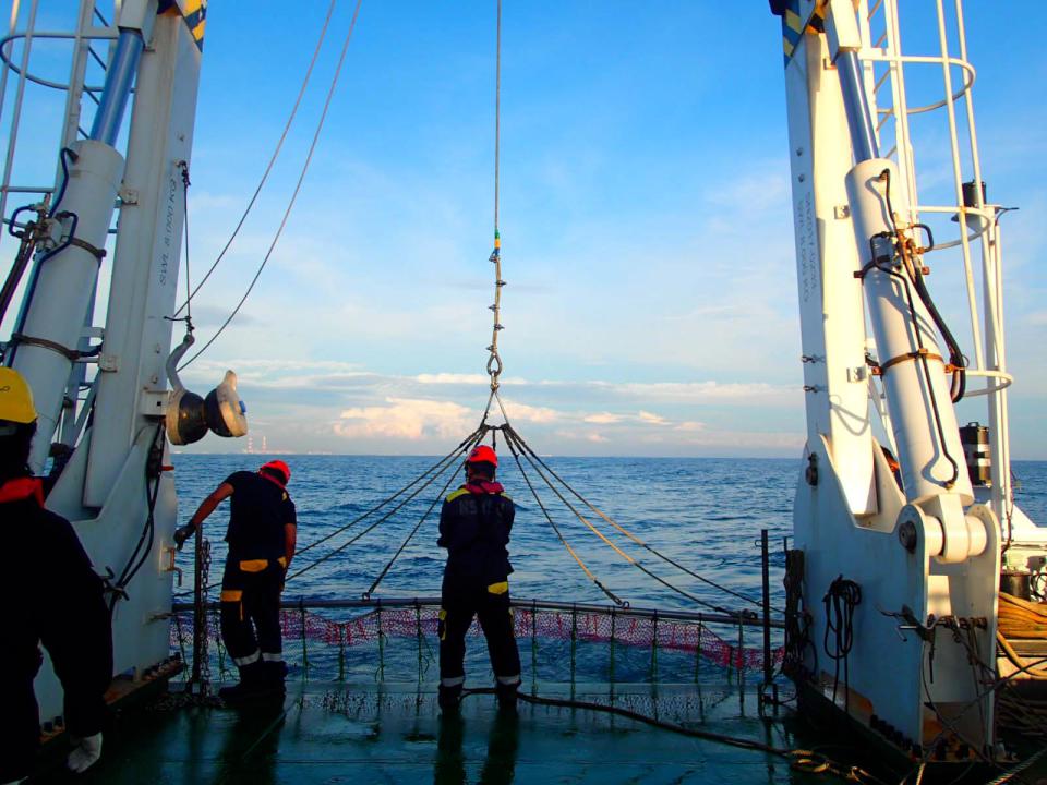 中山大學海保所林裕䕒跨國研究團隊研究石首魚暖化高敏感 結果榮登國際期刊