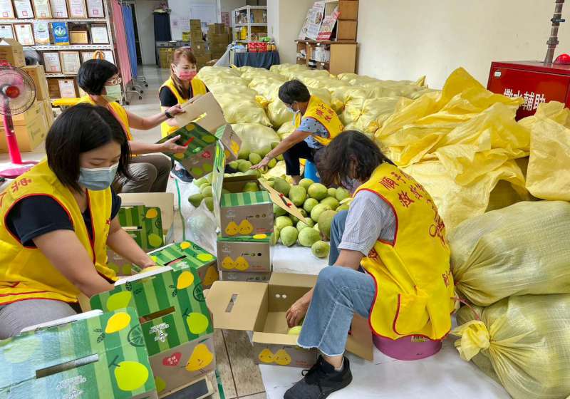 苗栗徐姓柚農贊助文旦義賣同步樂捐50株老欉文旦樹 支持創世高雄分會服務植物人