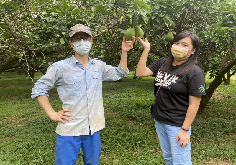 苗栗徐姓柚農贊助文旦義賣同步樂捐50株老欉文旦樹 支持創世高雄分會服務植物人