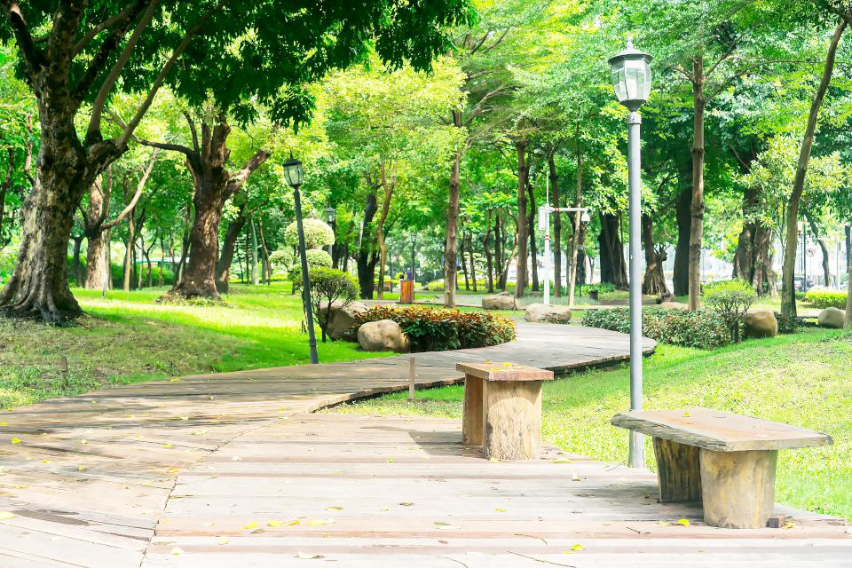 【第303期】悠閒春日旅遊提案 春暖花開好時光 探訪高雄公園野餐好所在