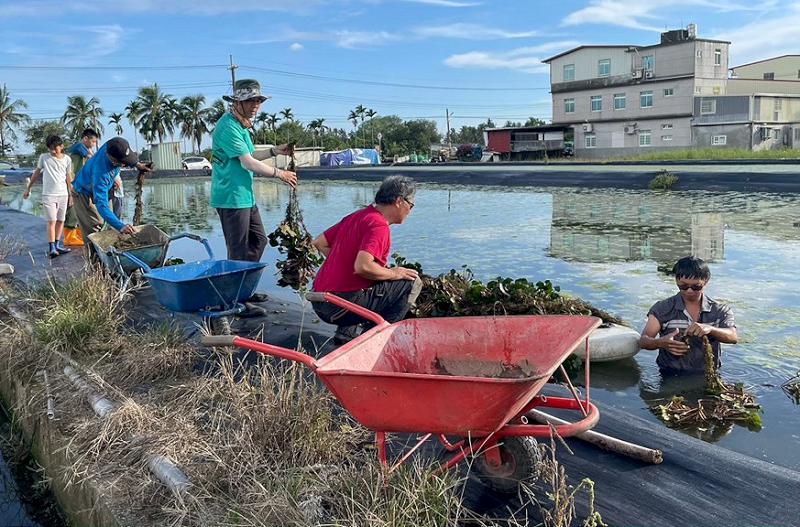 高市農業局生態給付計畫獎助草鴞棲架監測、水雉友善農地 6月6日申請截止