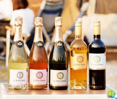 無酒精氣泡飲第一品牌 YOLA無酒精葡萄飲 讓全齡舉杯共享歡樂