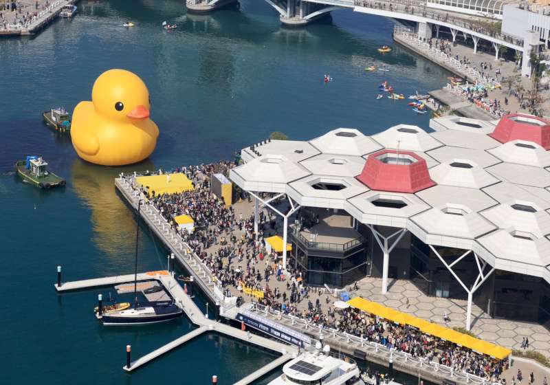 黃色小鴨旋風再現!荷蘭藝術家「霍夫曼」攜黃色小鴨現身 雙鴨秀給你DOUBLE歡樂