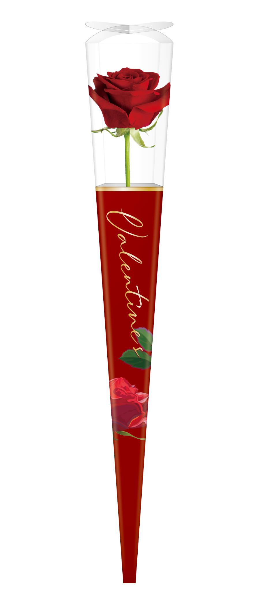 歡慶情人節傳遞愛意!統一企業集團獻上逾7萬朵「進口空運玫瑰」