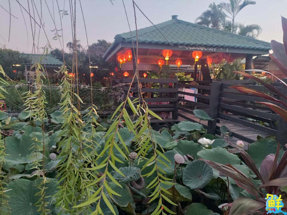 龍賀呷! 南台灣聚餐首選 水月軒鮮蝦美食餐廳大啖鮮蝦最過癮