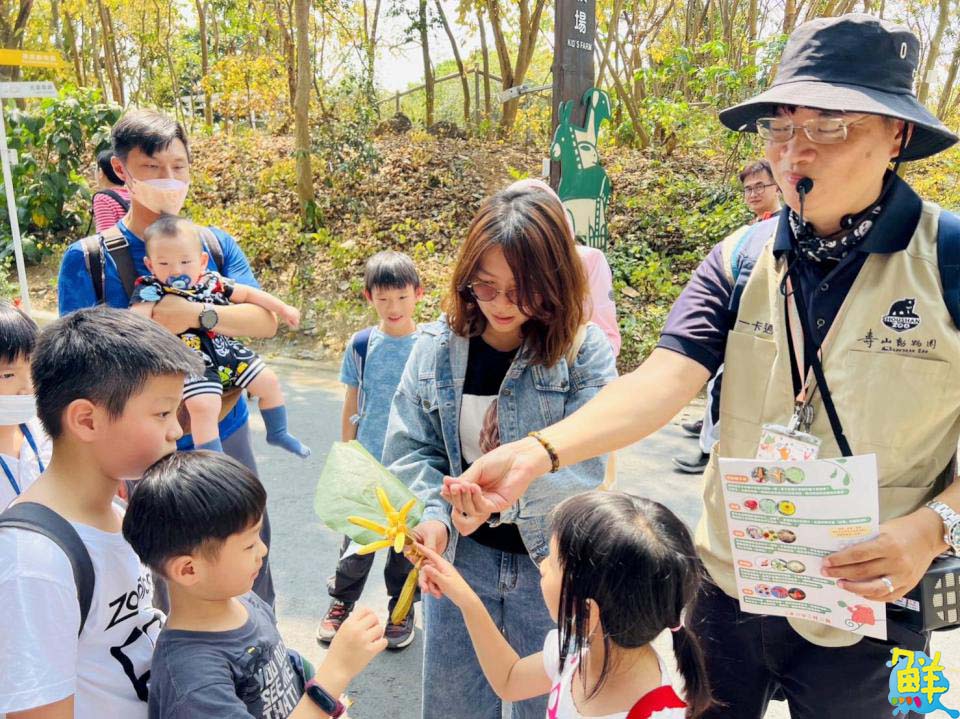 維護環境你我有責！壽山動物園淨山尋寶趣 探索淺山植物寶藏