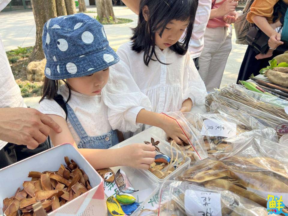 維護環境你我有責！壽山動物園淨山尋寶趣 探索淺山植物寶藏