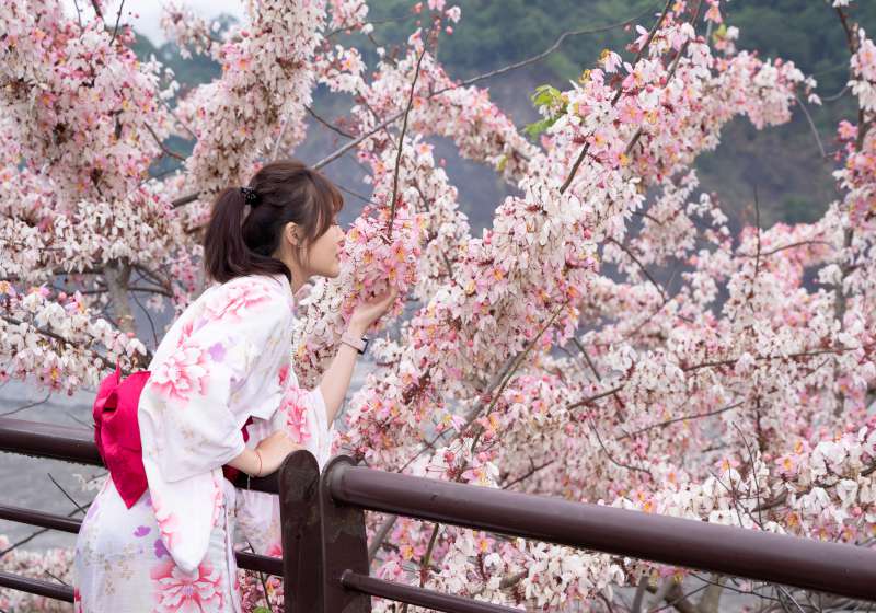 春遊何處去?高雄六龜尋境春暖山城 賞花泡湯送好康