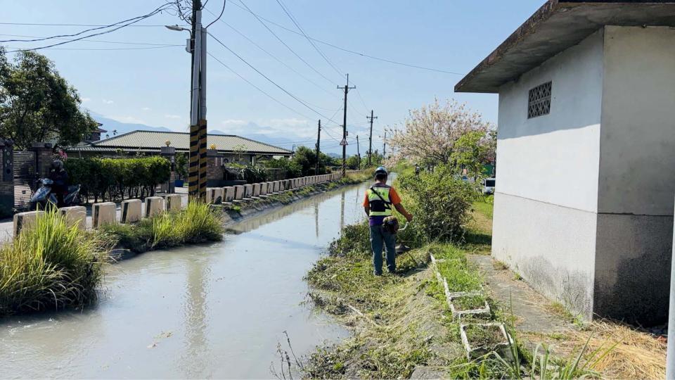 美濃水圳雜草破壞花旗木美景? 農水署高管處回應聲明籲請各界諒察