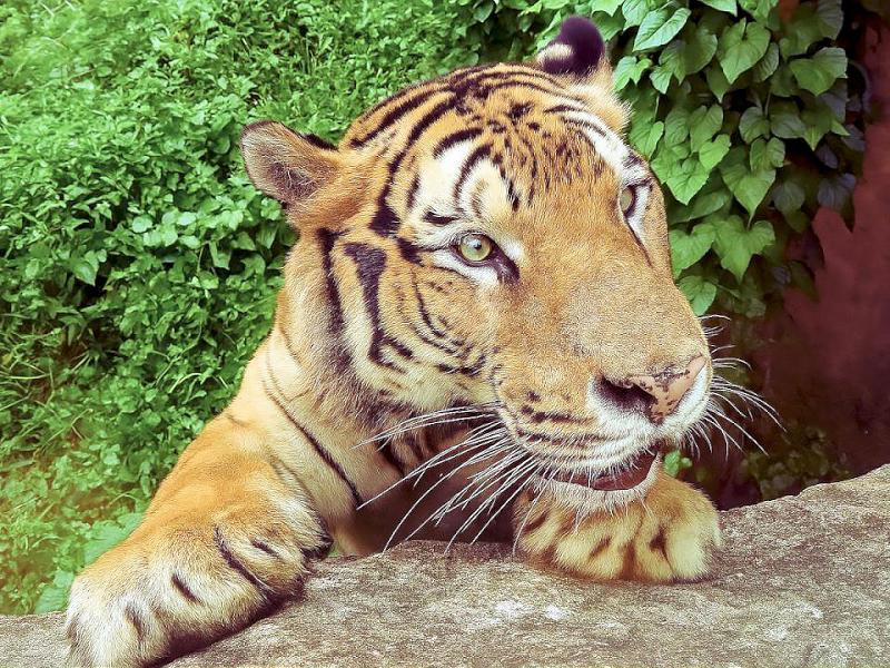 【第313期】暑期狂歡 首選高雄 精彩活動接連不斷 帶您創造夏日繽紛回憶