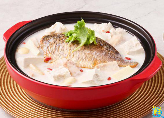 新加坡星級主廚跨海鉅獻 莆田海味季登場 再掀味覺新浪潮