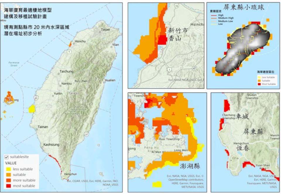 海保署攜手中山大學調查台灣沿海14處海草床生物環境 澎湖縣復育面積最廣