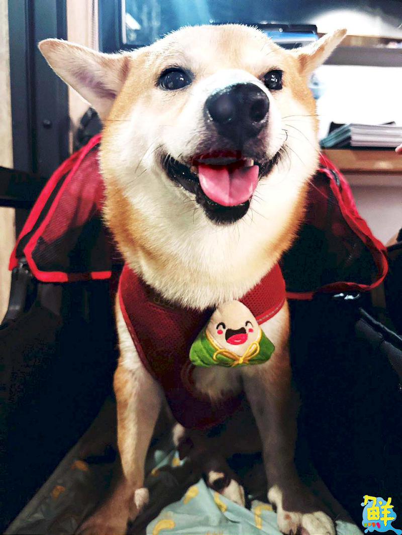 於深夜閃耀的美味光芒 柴柴啃吐司以美食溫暖擁抱您