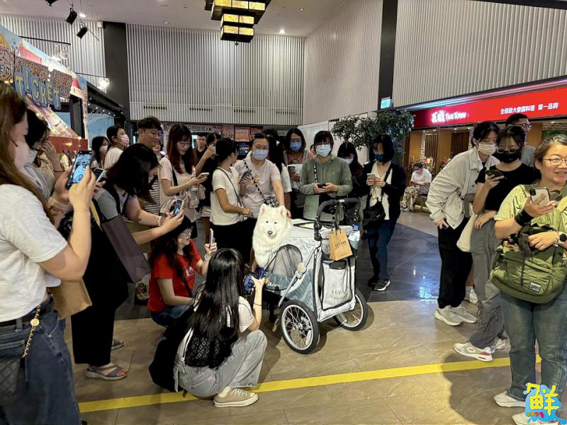 新光三越高雄三多店 優惠&活動接力登場 感受最有感的夏日購物趣