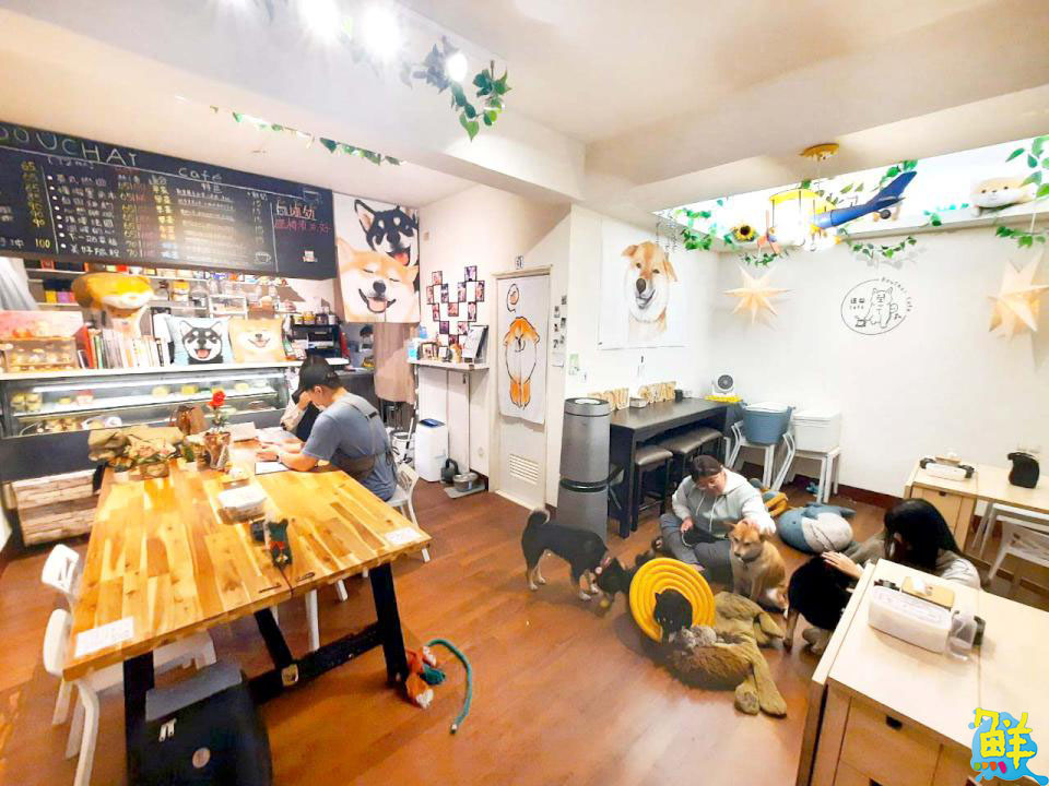 柴犬控必收藏! 鳳山巷弄咖啡廳 逗柴Café 邀您共度萌寵時光