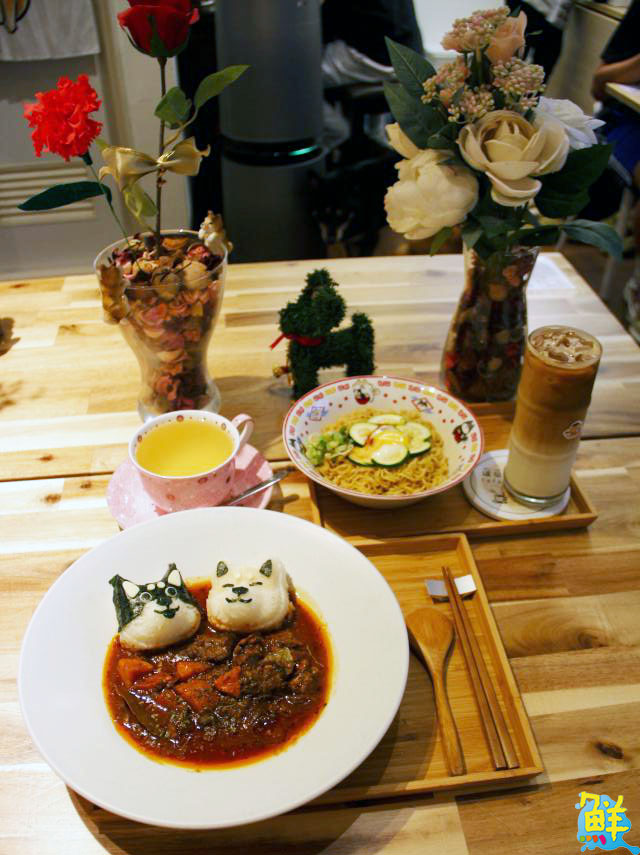柴犬控必收藏! 鳳山巷弄咖啡廳 逗柴Café 邀您共度萌寵時光