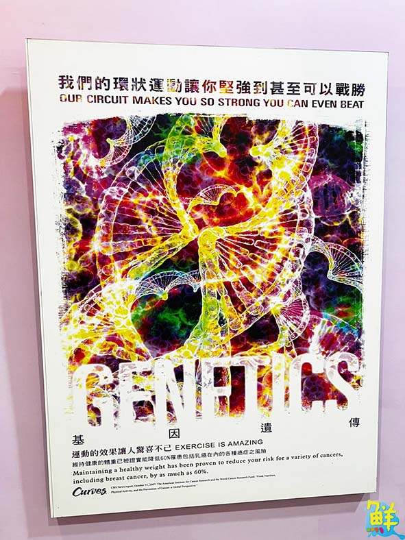 擁抱改變 綻放價值 可爾姿-左營高鐵店 為你找回生活的精采