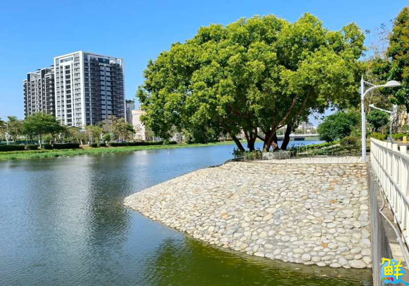 綠意「溪」蹤!後勁溪景觀綠美化工程打造休閒新空間