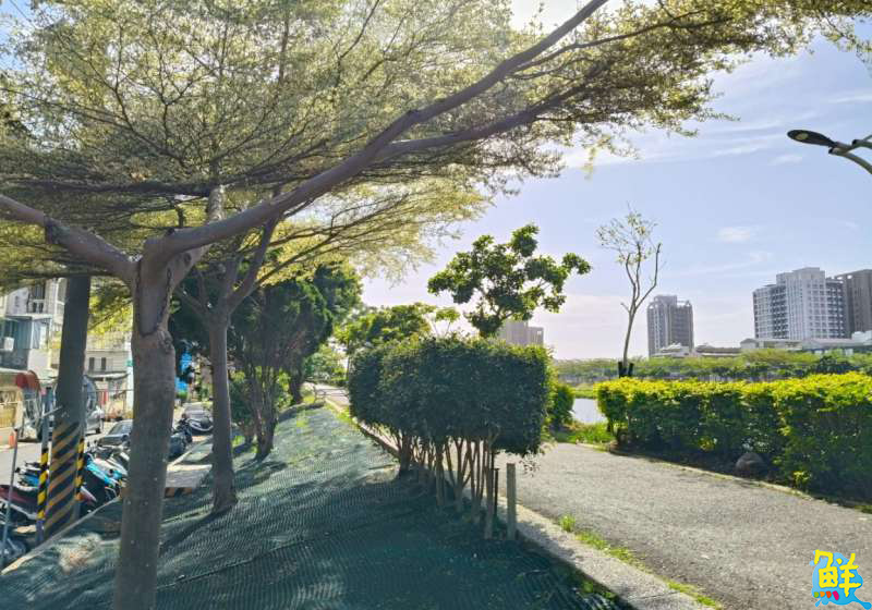 綠意「溪」蹤!後勁溪景觀綠美化工程打造休閒新空間