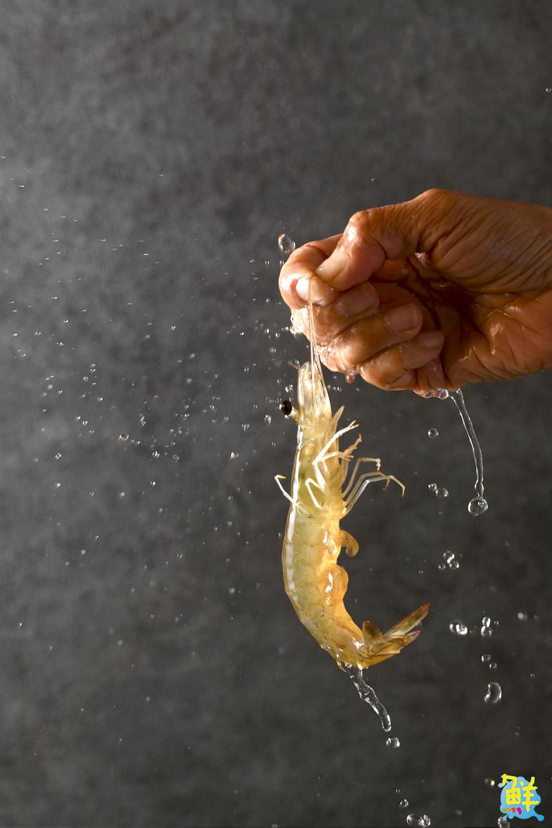 朋友同事最愛聚點! 左營人的最愛 饌鍋物 清爽湯底與新鮮好料最對味