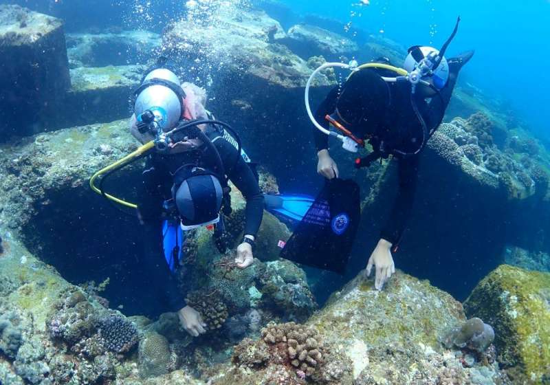 海保署歡慶第4屆國家海洋日 6月1日揪15處前哨站淨海限額40名