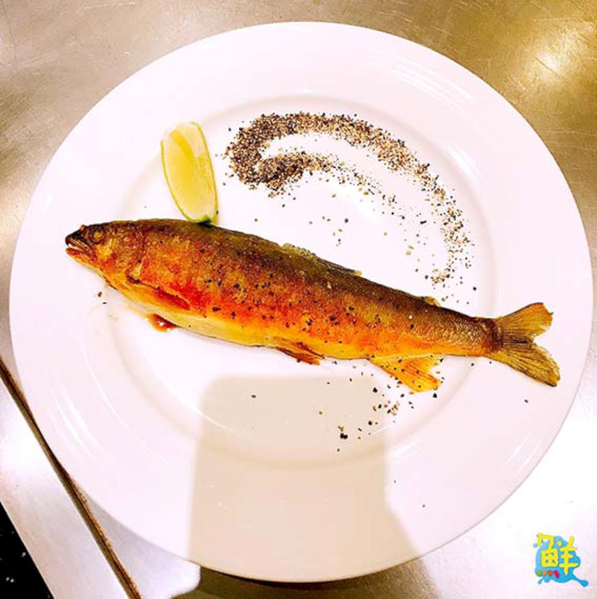 【松悅鐵板燒】典雅新品味 南臺灣原粹本味鐵板燒新星