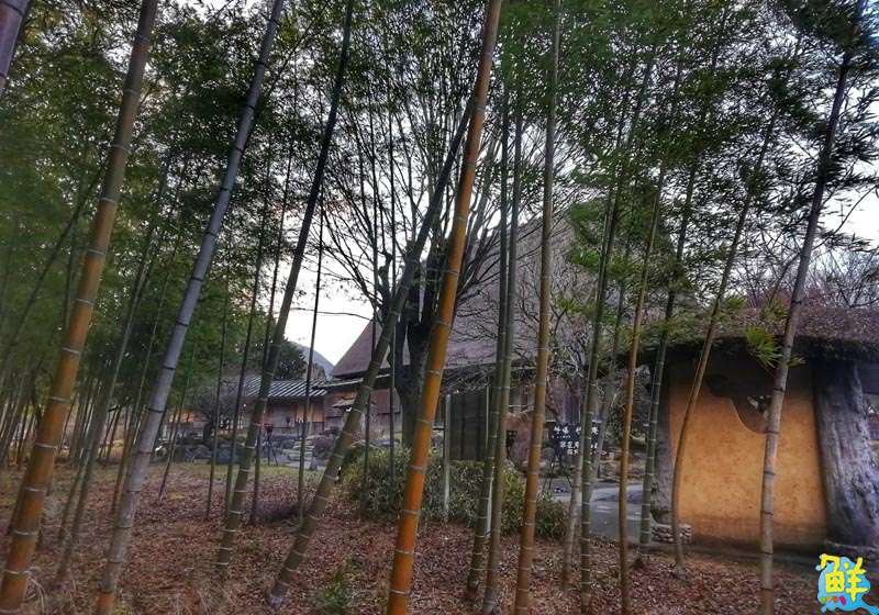 【日本生活旅遊】五感溫泉之旅、由布院