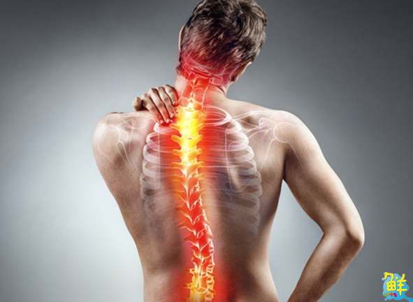 穩紮穩打每一步宜康徒手調理中心郭哲宇小宇老師 成為您背後的穩固靠山 健康的好朋友