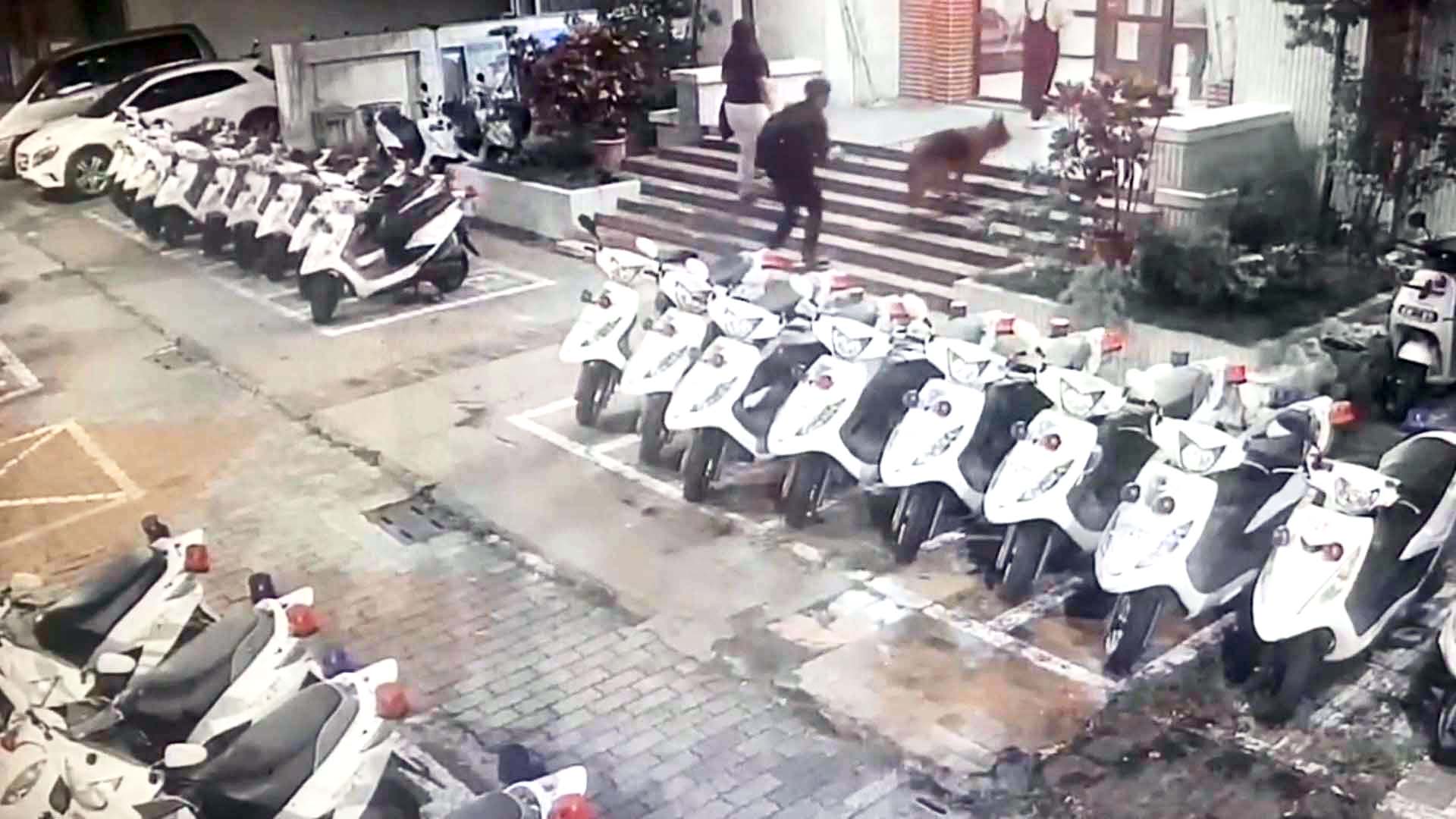 【第296期】高市男車停紅線買牛肉麵 三民二警攔查揪暗藏毒品吸食器
