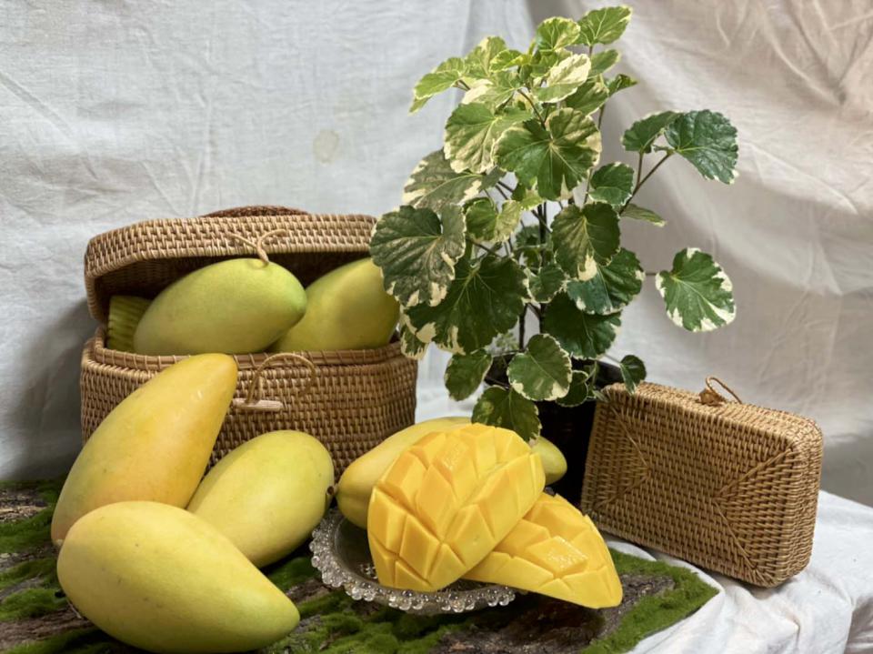 農業局神農市集6月28日、29日相約凹子底森林公園 前星級主廚教作細雪芒果卷