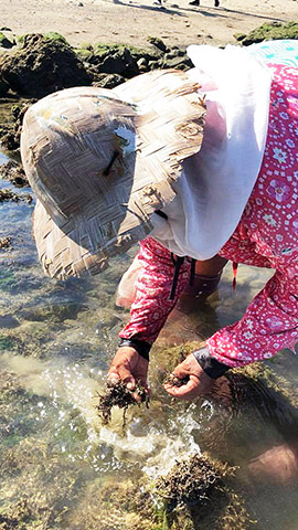 【第212期】在地人激推「私房秘境」全攻略!帶你暢遊恆春萬里桐